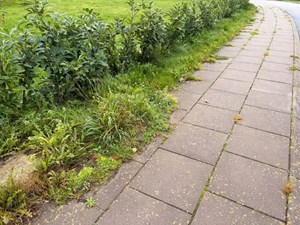 opslagsbillede