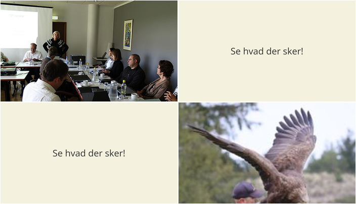 Oplev Bindslev i weekenden: Sociale sammenkomster og spektakulære rovfugleshows