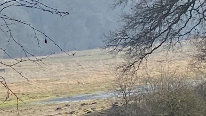 Oplev naturen på en vandretur i Kværkeby Fuglereservat
