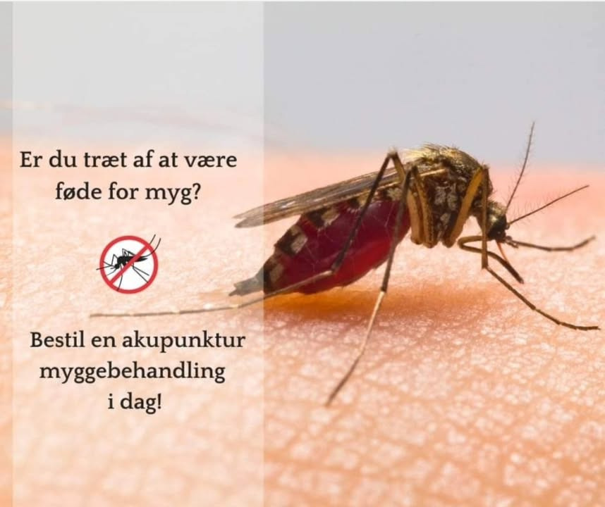 Brandsborgs Kropsterapi tilbyder akupunktur som myggestiksbehandling