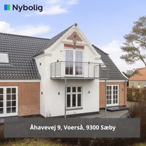 Opslagsbillede