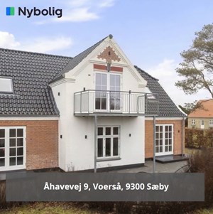 opslagsbillede