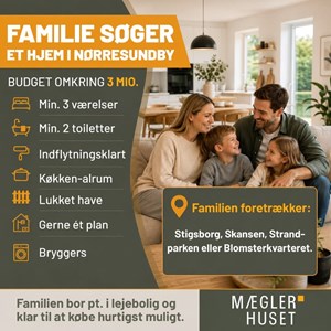 opslagsbillede