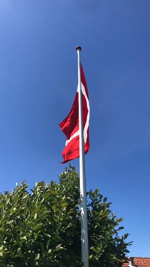 opslagsbillede