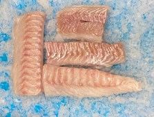 Hanstholm Auction Buyer lancerer ugens fisketilbud og fragtfri levering