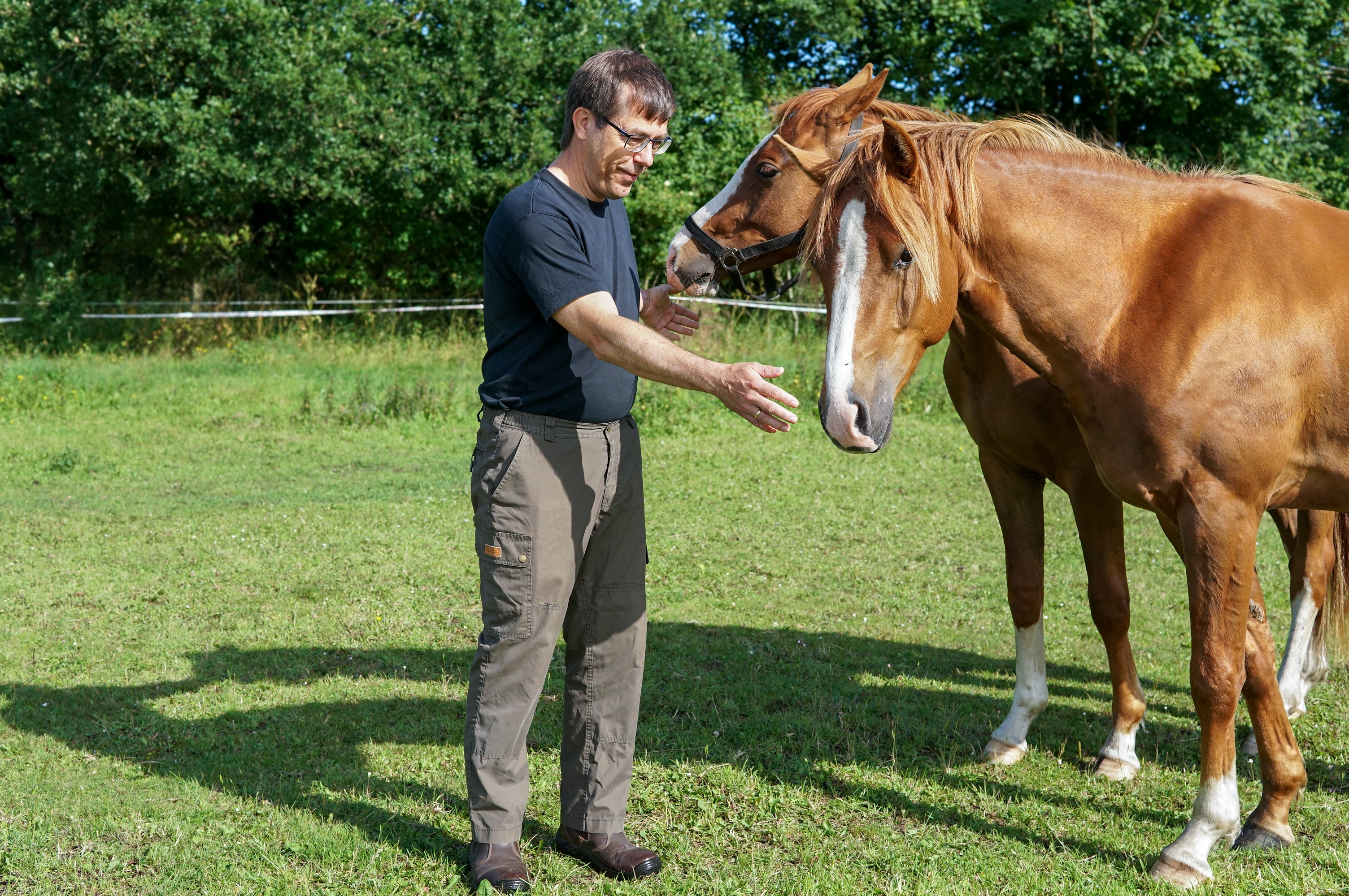 Mariagerfjord Kommune involverer lodsejere i natur- og klimapartnerskab
