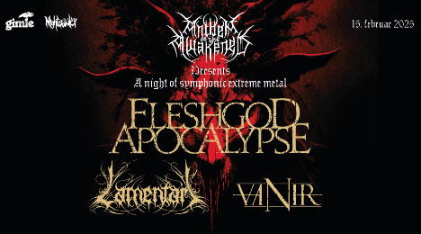 Musikalske oplevelser for hele familien i Roskilde