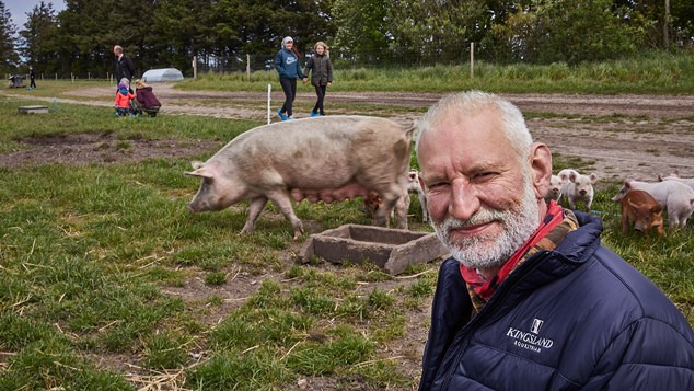 Sofari på Kraghøjgård Økologi: Kom og oplev det økologiske griseliv