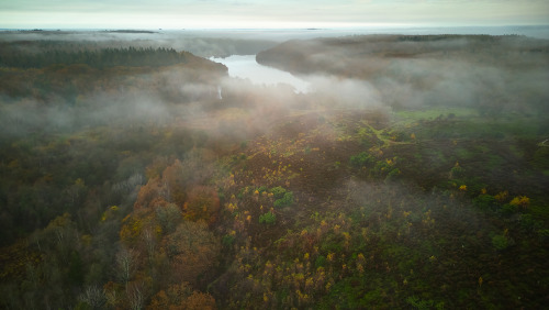 Tag del i Dollerup Trail og oplev naturens skønhed