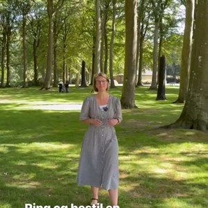 Opslagsbillede