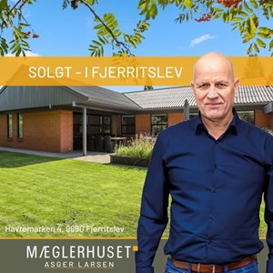 opslagsbillede