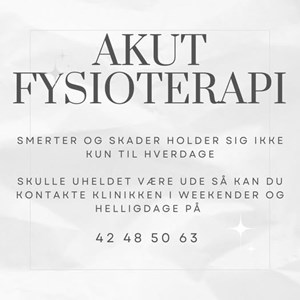 opslagsbillede