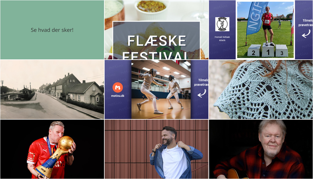 Ugen i Holbæk: Flæskefestival, Bryan Rice koncert og mere