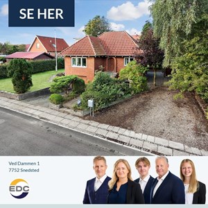 Opslagsbillede
