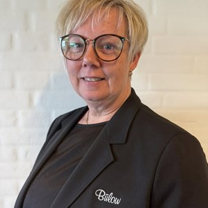 Opslagsbillede
