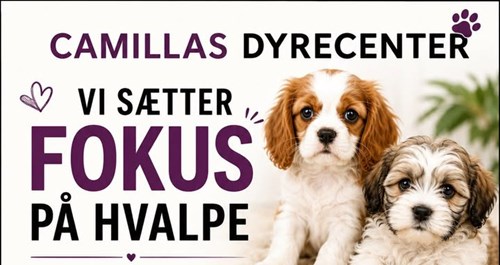 Opslagsbillede