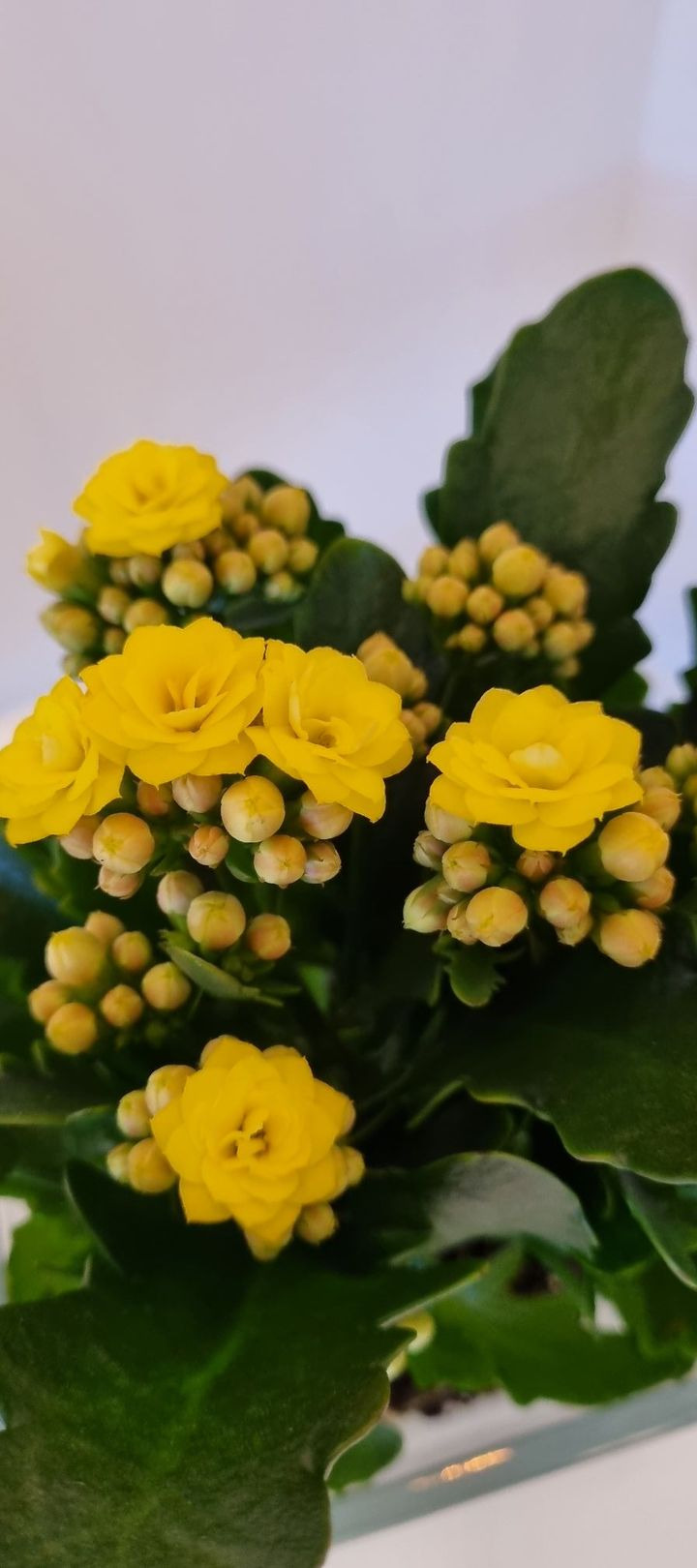 Hold dig ajour med dagens opdateringer fra Hobro