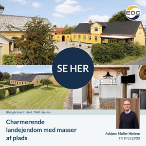 Opslagsbillede