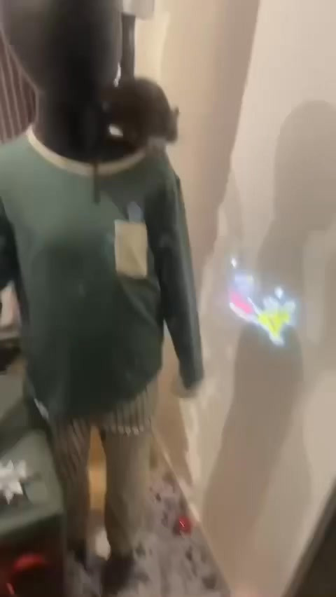 Didrik: Musejagt i kælderen sikrer julefreden