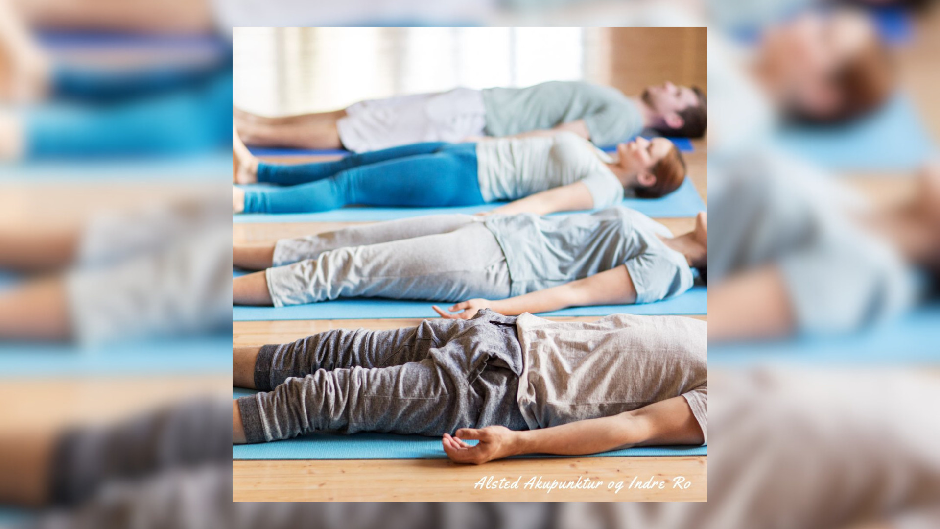 Find ro i hverdagen med nyt mindfulness hold hos Alsted Akupunktur & Indre Ro