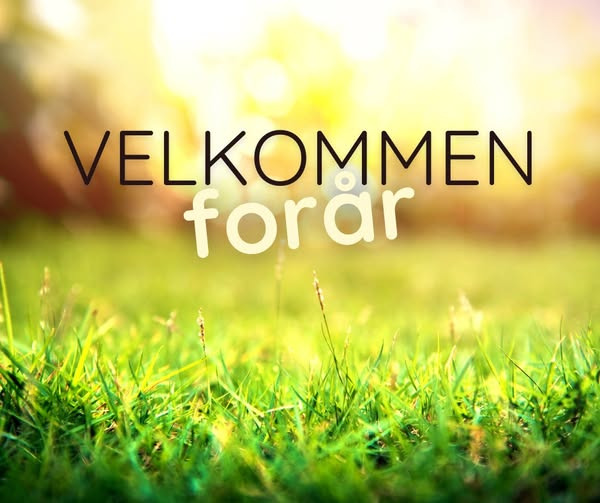 Effektiv lindring af allergisymptomer med øreakupunktur og zoneterapi hos Zones By Gitte