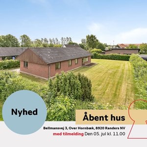 Opslagsbillede