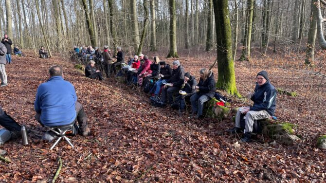 Vandretur gennem Enemærket og Kulebjerg skove