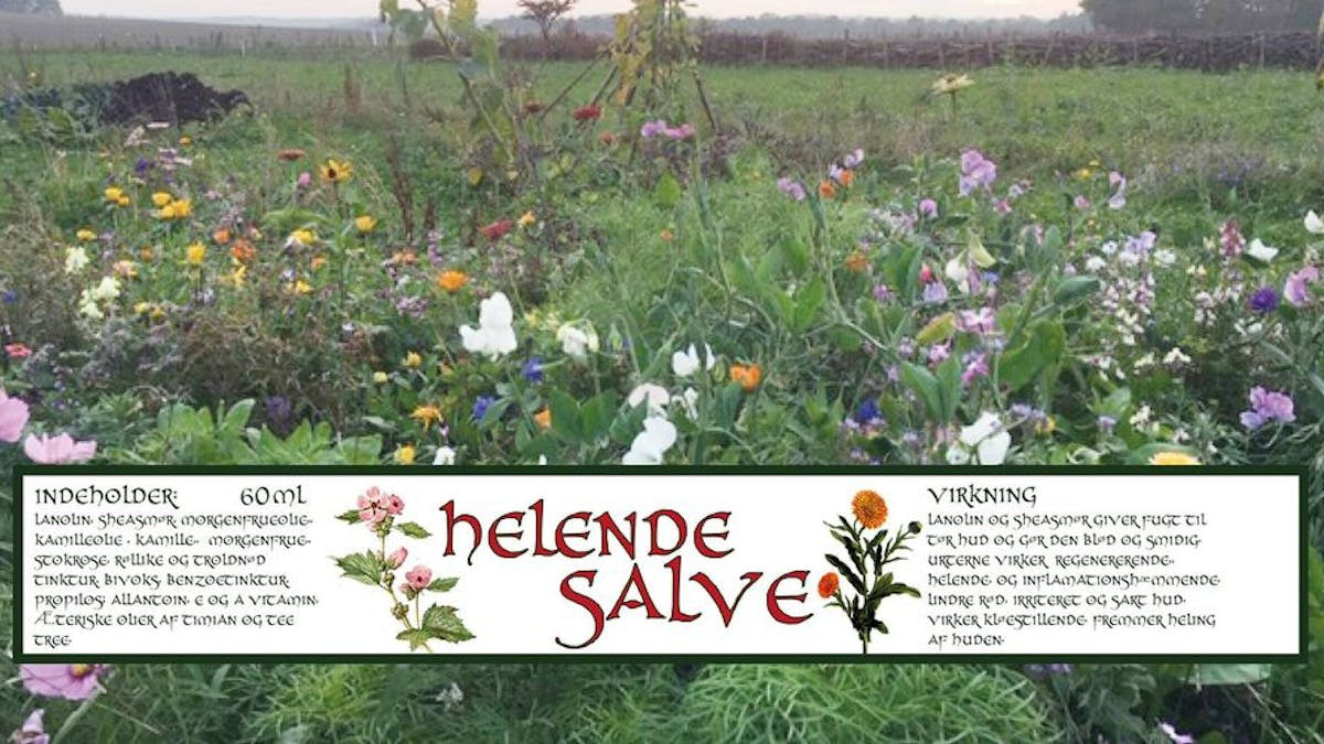 Lær at lave din egen helende salve på Hørhaven B&B