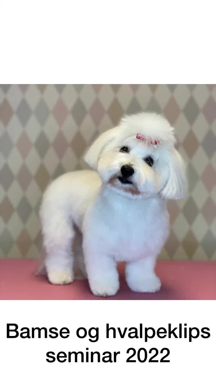 Det nyeste på Vejles opslagstavle