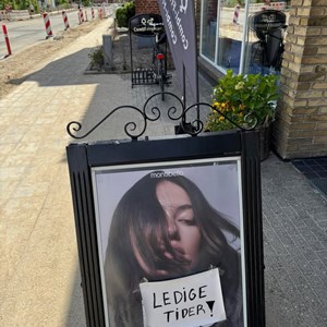 Opslagsbillede