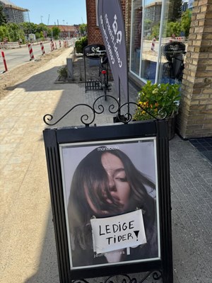 opslagsbillede