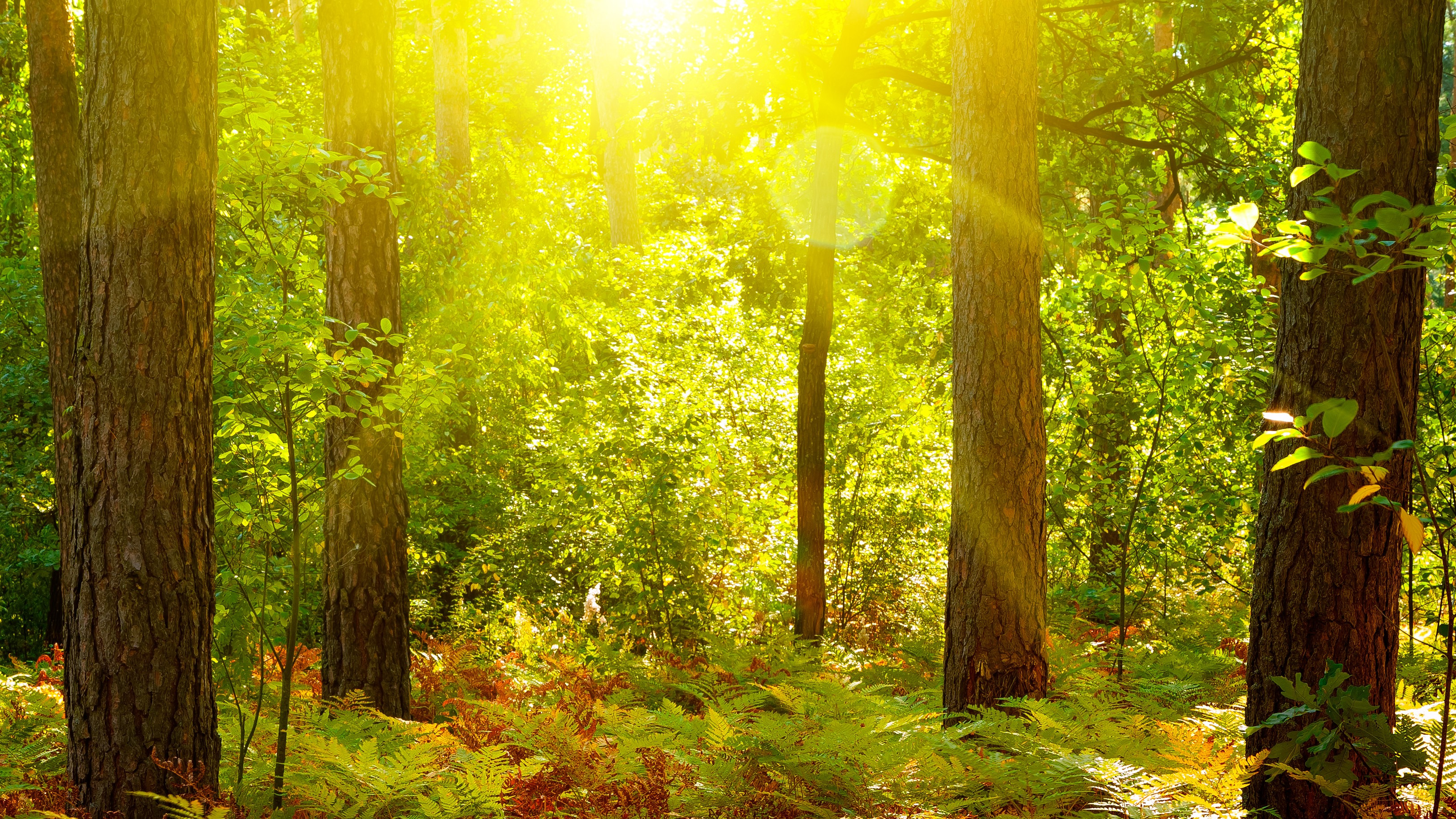 Messe for det hele menneske i Snedsted