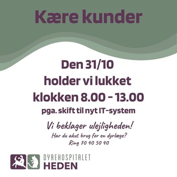 Opslagsbillede