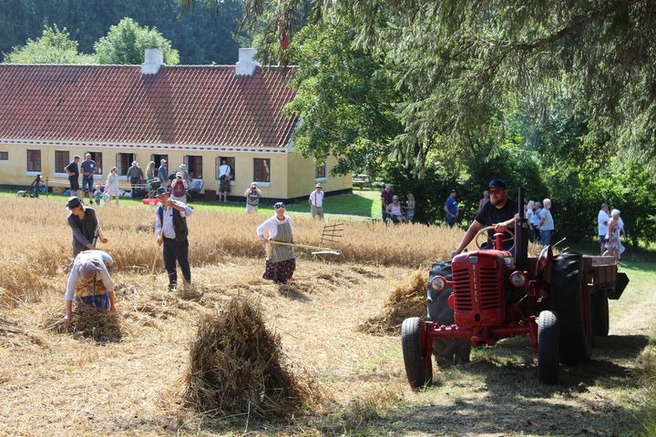 Se dagens updates fra Hjørring her