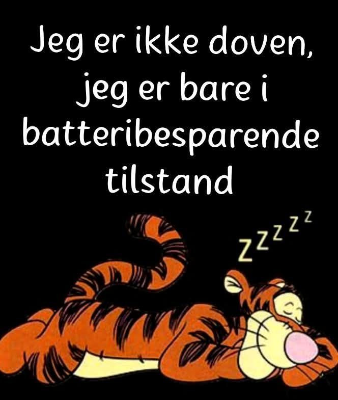 Jensen Jordbær gården åbner kurveafdeling og kaninkæl for selvbetjening 24/7