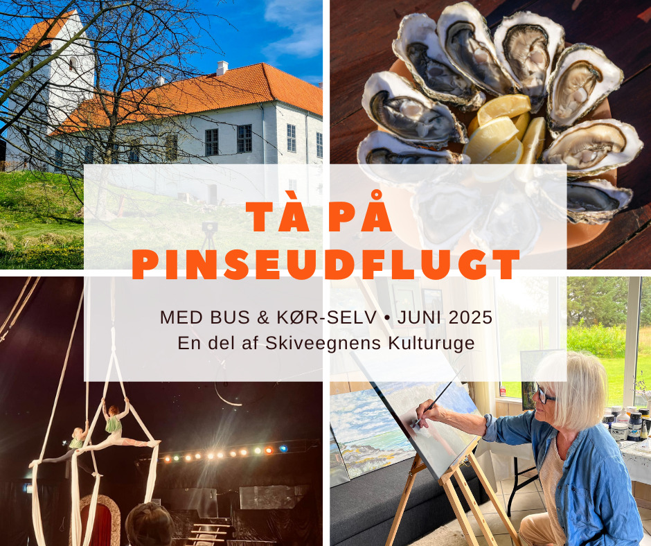 Oplev 4 vidt forskellige pinseudflugter på Skiveegnen