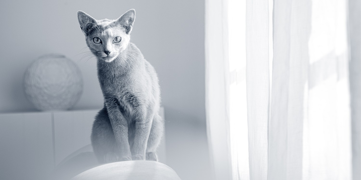 Se dagens updates fra Hjørring her