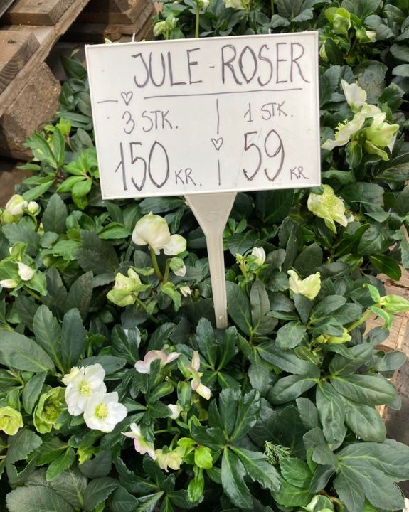 Se dagens updates fra Hobro her