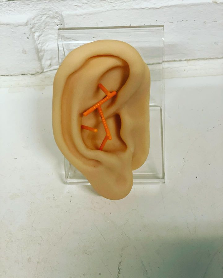 Opdatér dig her: Det nyeste fra Risskov