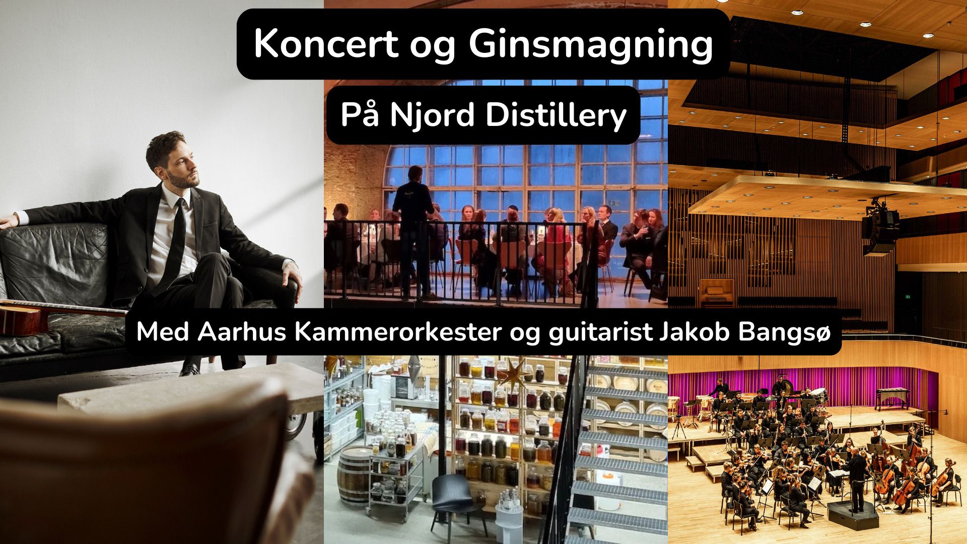 Koncert og ginsmagning med Aarhus Kammerorkester og Jakob Bangsø
