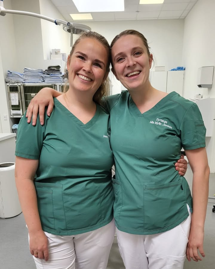 Dyrehospitalet Heden ApS byder Anne og Mia velkommen tilbage fra barsel