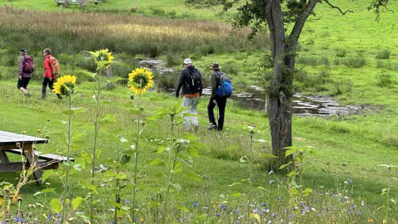 Oplev Ans' naturskønne omgivelser på vandretur