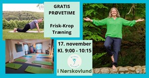 opslagsbillede