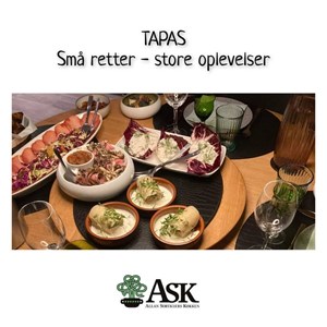 opslagsbillede