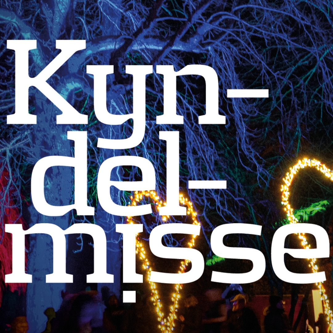 Kulturelle oplevelser og litterære aftener på Sorø Bibliotek