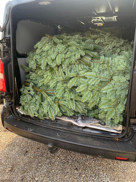 Opslagstavlen: Nyeste opdateringer fra Brønderslev