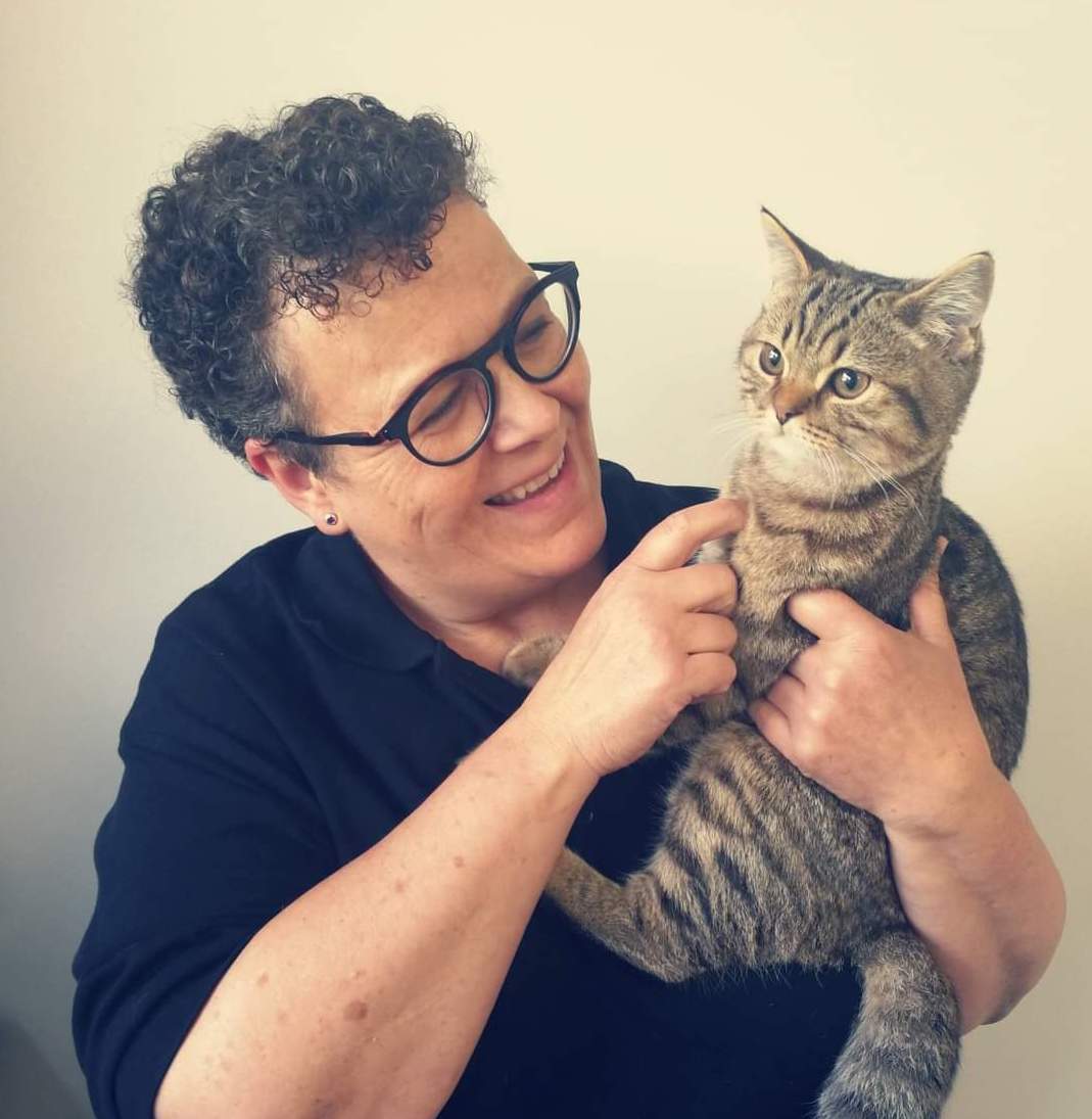 Silkeborg Dyrehospital sætter fokus på seniordyr i hele november