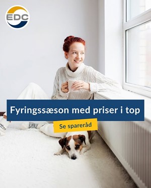 opslagsbillede