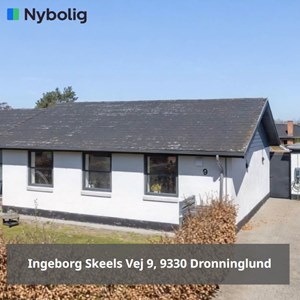 Opslagsbillede