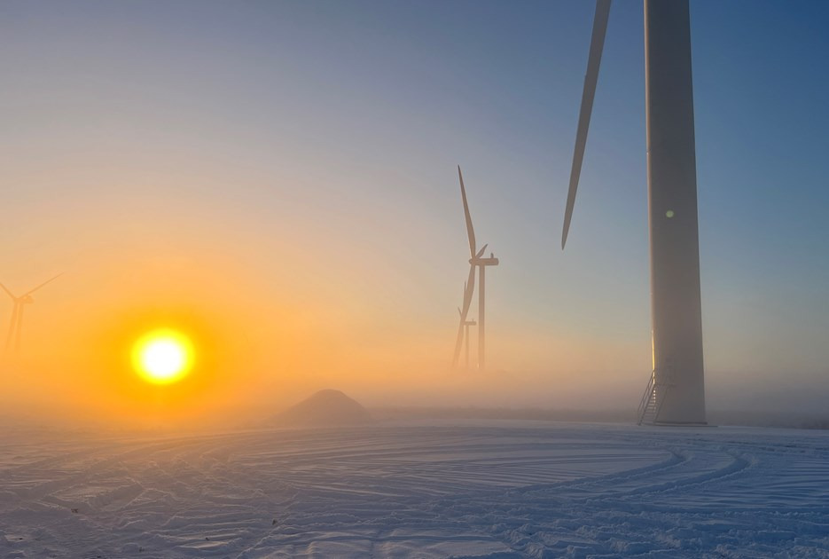 Rekordmange ansøgninger til Grøn Pulje